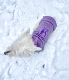 Purple Pet Hoodie