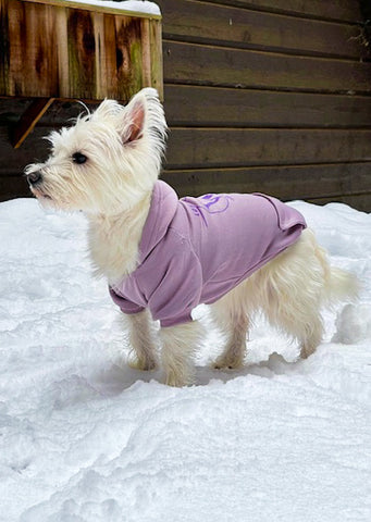 Purple Pet Hoodie