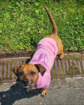 Pink Pet Hoodies