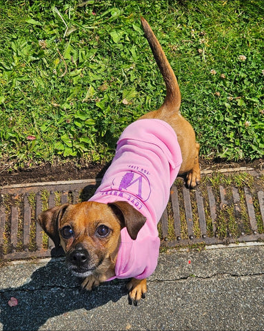 Pink Pet Hoodies