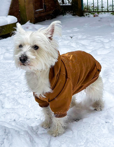 Brown Pet Hoodies